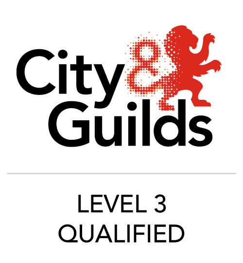 City & Guilds Qualified Electrician in Tiverton, Devon