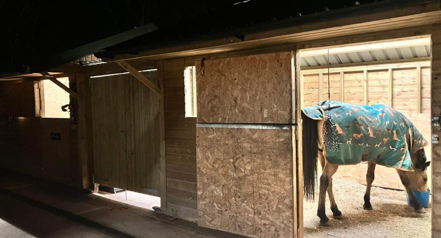Horse Stable Lighting & Power in Devon