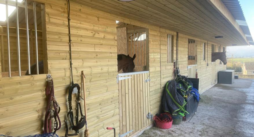 Horse Stable Lighting & Power in Devon